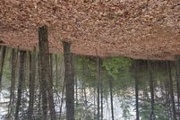 Undeveloped Land for sale in Carroll County, Virginia