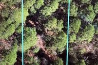 Lakefront Property for sale in Bladen County, North Carolina