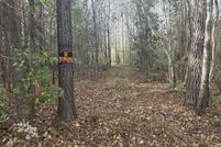 Property for sale in Columbus County, North Carolina