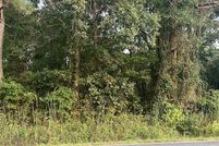 Undeveloped Land for sale in Bladen County, North Carolina