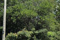 Undeveloped Land for sale in Richmond County, North Carolina