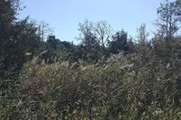 Property for sale in Pamlico County, North Carolina