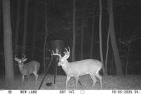 Property for sale in Wayne County, Pennsylvania