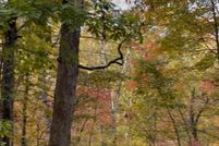 Undeveloped Land for sale in Pickens County, Georgia