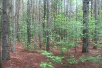 Property for sale in Sampson County, North Carolina