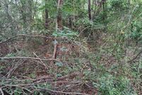 Undeveloped Land for sale in Onslow County, North Carolina