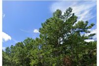 Property for sale in Onslow County, North Carolina