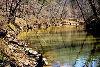 Undeveloped Land for sale in Durham County, North Carolina