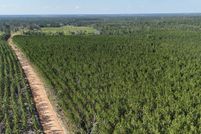 Undeveloped Land for sale in Appling County, Georgia