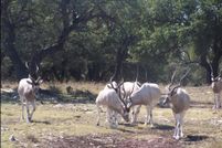 Property for sale in Edwards County, Texas