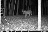 Property for sale in Cheboygan County, Michigan