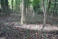 Undeveloped Land for sale in Franklin County, Georgia