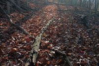 Property for sale in Allegany County, Maryland