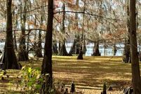 Undeveloped Land for sale in Grant Parish, Louisiana