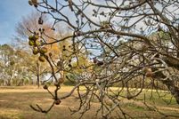 Property for sale in Morgan County, Georgia