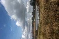 Property for sale in Winston County, Alabama