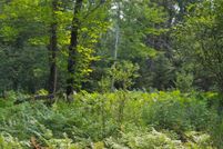 Property for sale in Ontonagon County, Michigan