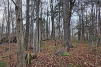 Undeveloped Land for sale in Gogebic County, Michigan