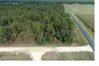 Undeveloped Land for sale in Levy County, Florida