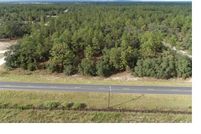 Property for sale in Levy County, Florida