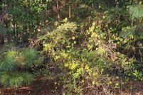 Property for sale in Henry County, Georgia