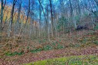 Property for sale in Fannin County, Georgia