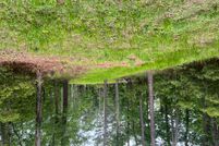 Property for sale in Pamlico County, North Carolina