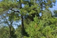 Property for sale in Lexington County, South Carolina