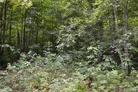 Undeveloped Land for sale in Kalkaska County, Michigan