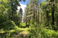 Undeveloped Land for sale in Shelby County, Texas