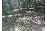 Undeveloped Land for sale in Buncombe County, North Carolina