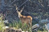 Property for sale in Burnet County, Texas