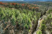 Undeveloped Land for sale in Fannin County, Georgia