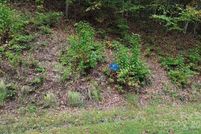 Property for sale in Jackson County, North Carolina