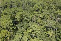 Property for sale in Lake County, Florida