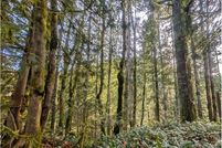 Undeveloped Land for sale in Clackamas County, Oregon