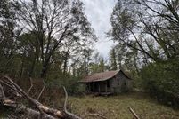 Undeveloped Land for sale in Wilkinson County, Mississippi