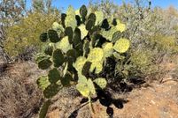 Property for sale in Duval County, Texas