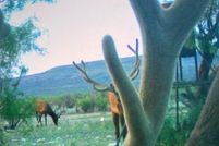 Waterfront Property for sale in Edwards County, Texas