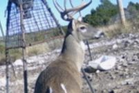 Farm Property for sale in Edwards County, Texas