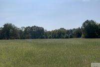 Undeveloped Land for sale in Cass County, Texas