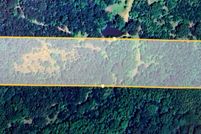 Property for sale in Cass County, Texas