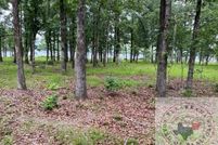 Property for sale in Lafayette County, Arkansas