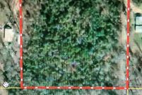 Undeveloped Land for sale in Miller County, Arkansas