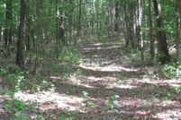 Undeveloped Land for sale in Miller County, Arkansas