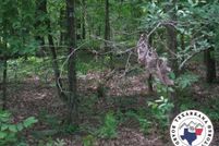 Property for sale in Lafayette County, Arkansas