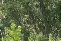 Undeveloped Land for sale in Bowie County, Texas