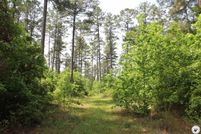 Property for sale in Nevada County, Arkansas