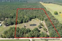 Undeveloped Land for sale in Bowie County, Texas