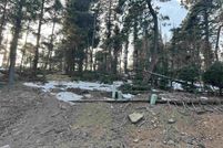 Property for sale in Colfax County, New Mexico